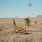NY Folding Chair by Takeshi Nii; Reimagined by CC