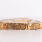 Petrified Wood Ashtray