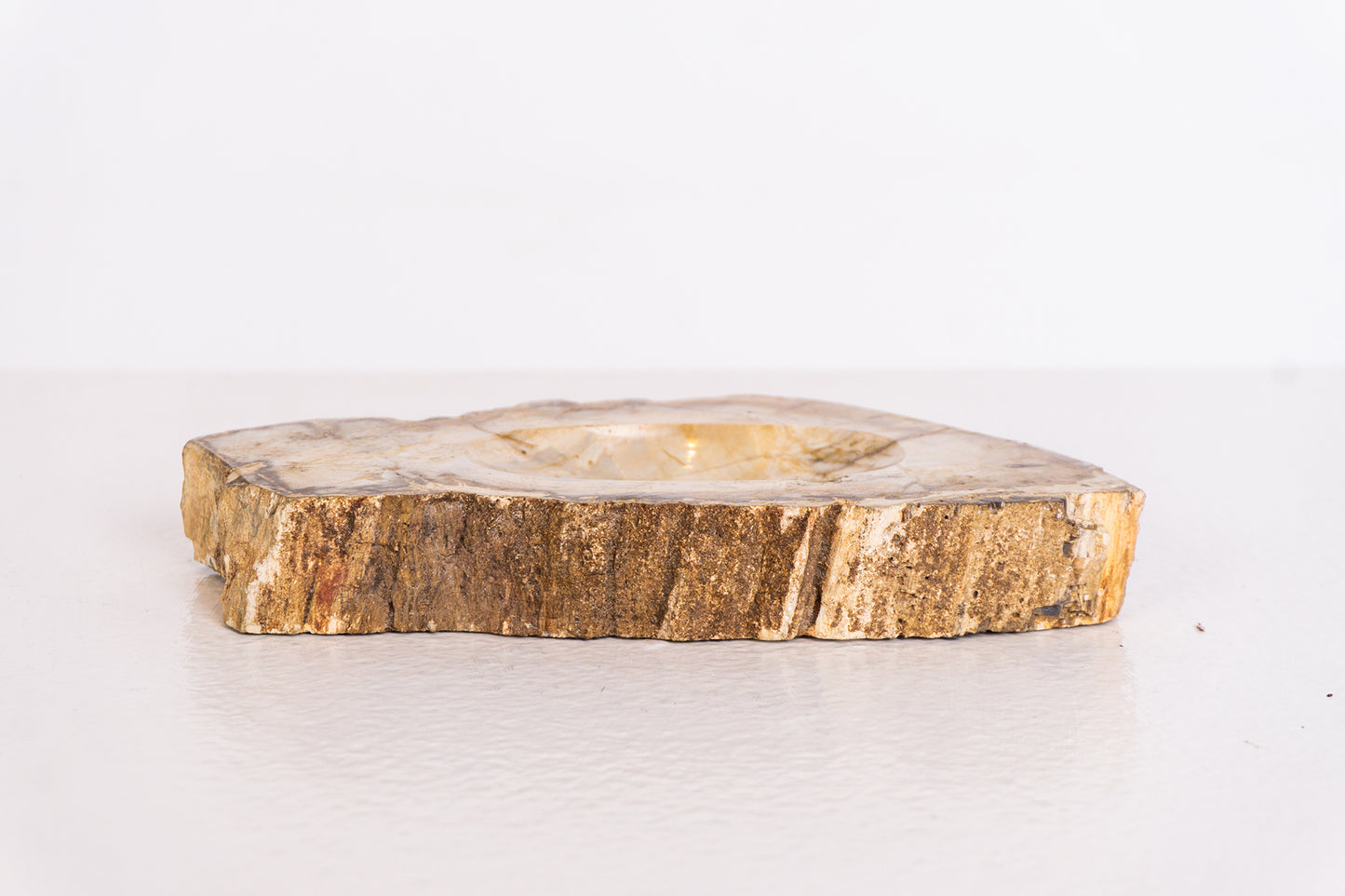 Petrified Wood Ashtray