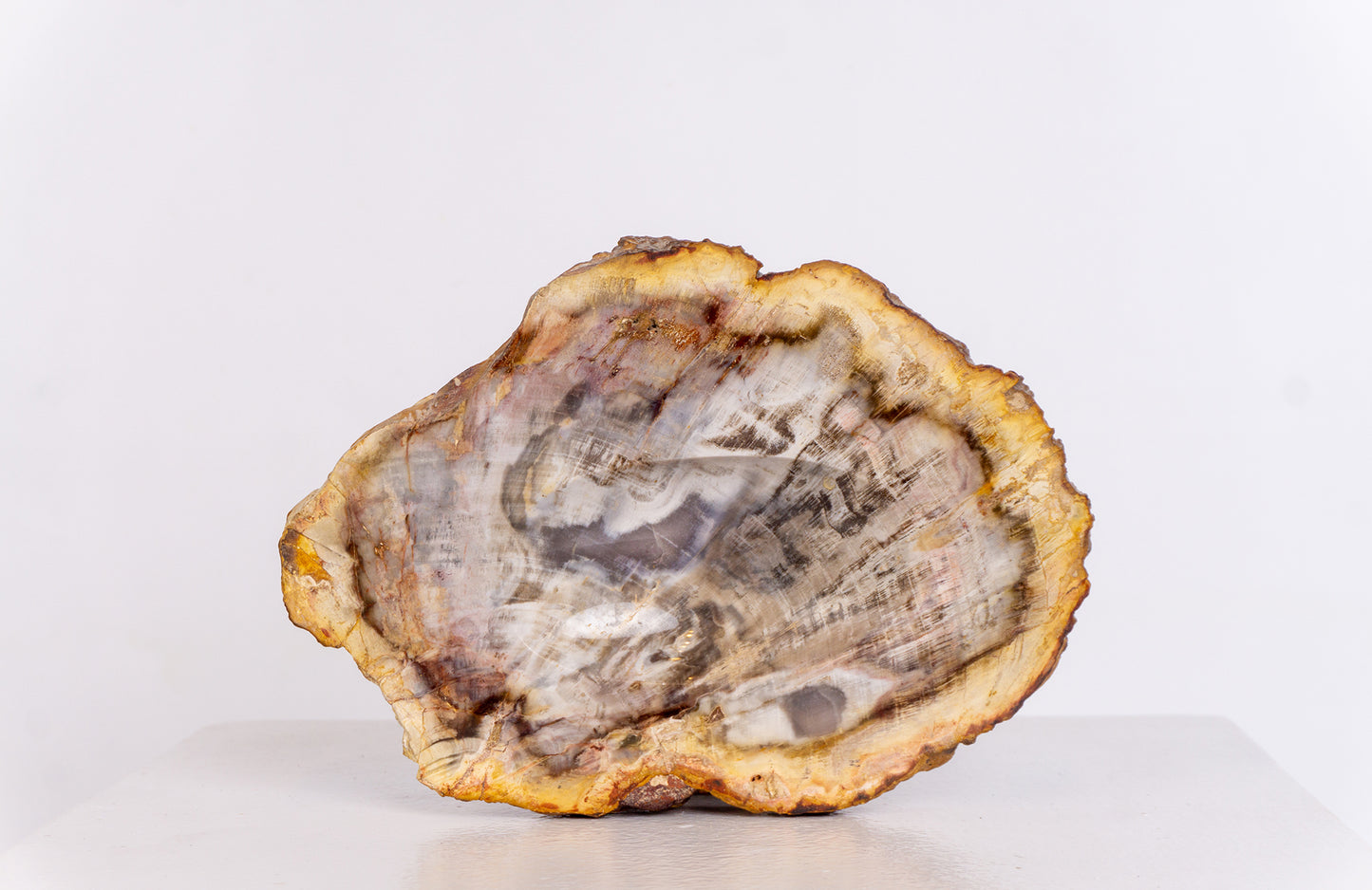 Petrified Wood Ashtray