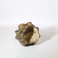Worn Rock Copita